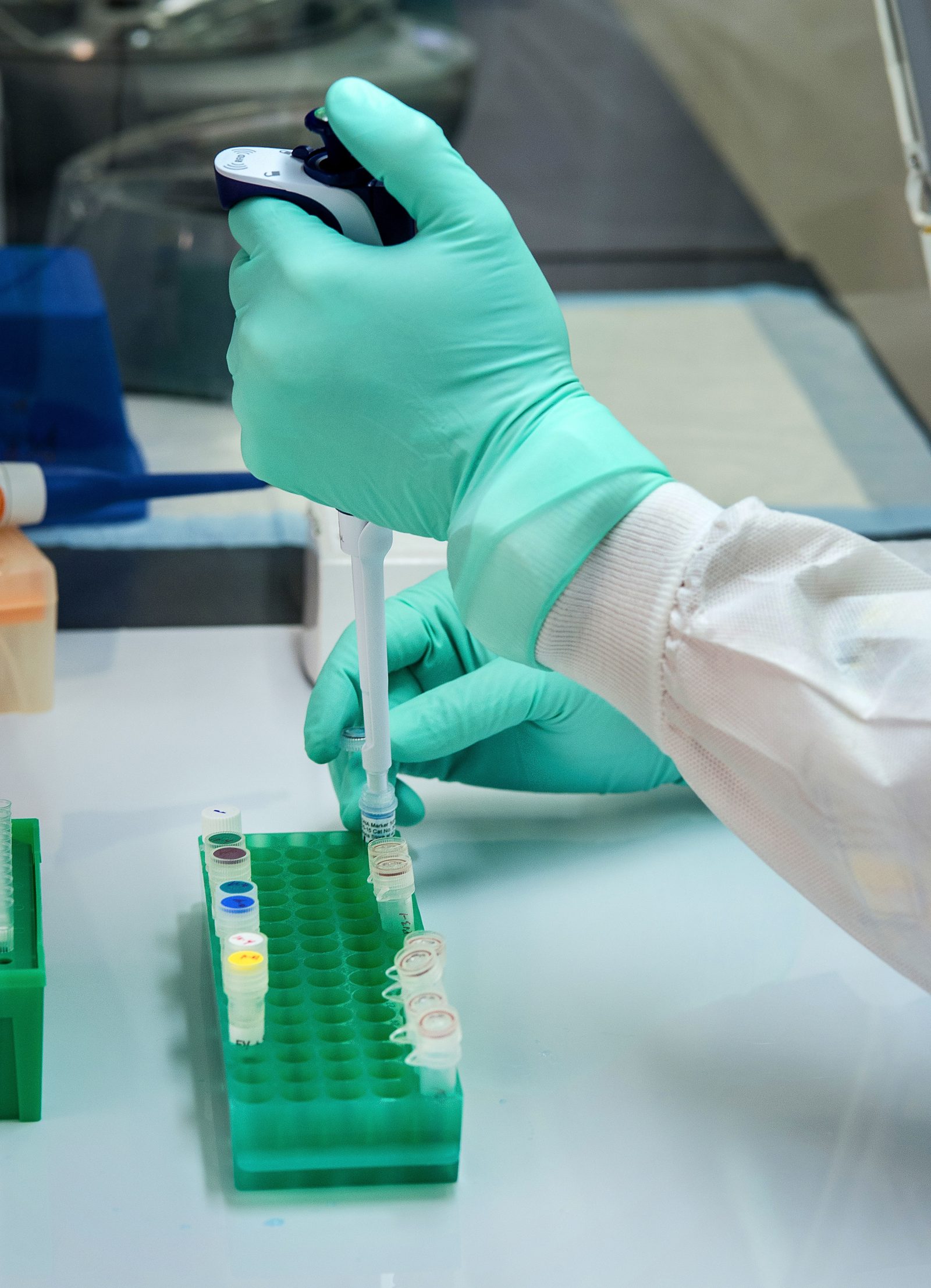 Functional testing and nutrition