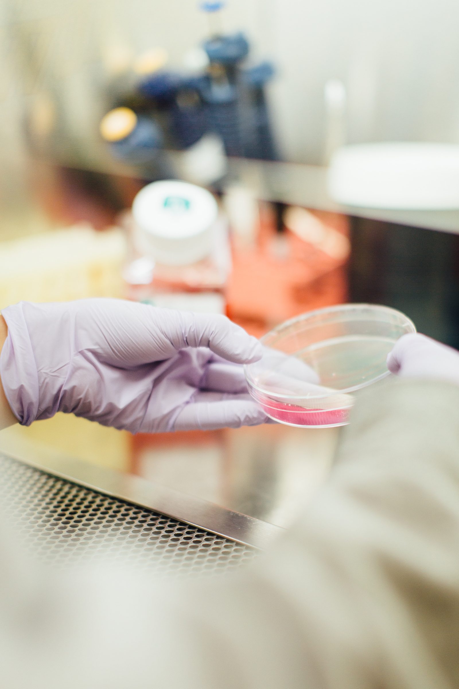 Functional testing and nutrition